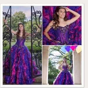 Prom Dress/Quincenera Dress